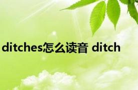 ditches怎么读音 ditch 