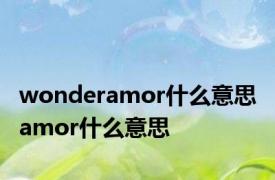 wonderamor什么意思 amor什么意思 