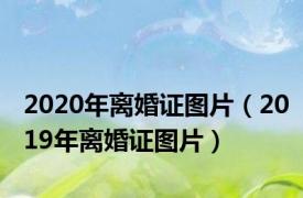 2020年离婚证图片（2019年离婚证图片）