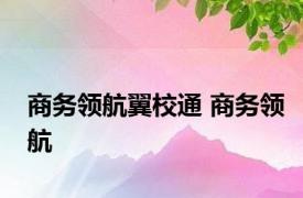 商务领航翼校通 商务领航 