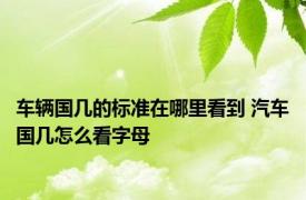 车辆国几的标准在哪里看到 汽车国几怎么看字母 