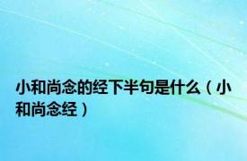 小和尚念的经下半句是什么（小和尚念经）