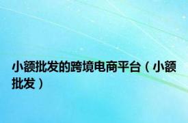 小额批发的跨境电商平台（小额批发）