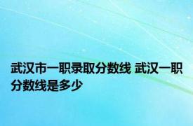 武汉市一职录取分数线 武汉一职分数线是多少 