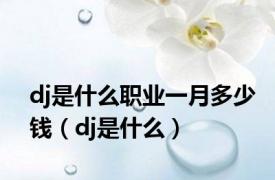 dj是什么职业一月多少钱（dj是什么）