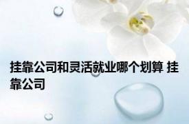 挂靠公司和灵活就业哪个划算 挂靠公司 