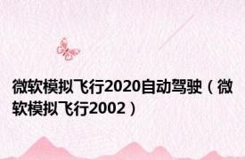 微软模拟飞行2020自动驾驶（微软模拟飞行2002）