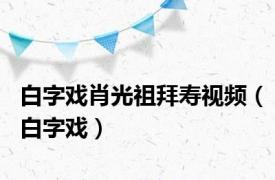 白字戏肖光祖拜寿视频（白字戏）