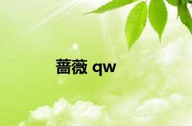 蔷薇 qw 