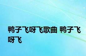 鸭子飞呀飞歌曲 鸭子飞呀飞 