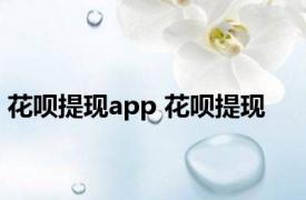 花呗提现app 花呗提现 