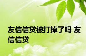 友信信贷被打掉了吗 友信信贷 