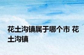 花土沟镇属于哪个市 花土沟镇 