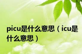 picu是什么意思（icu是什么意思）