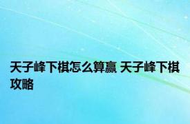 天子峰下棋怎么算赢 天子峰下棋攻略 