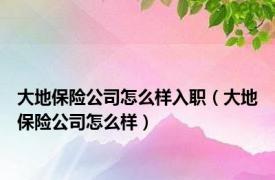 大地保险公司怎么样入职（大地保险公司怎么样）