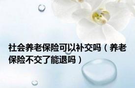 社会养老保险可以补交吗（养老保险不交了能退吗）