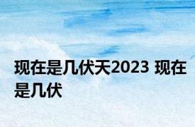 现在是几伏天2023 现在是几伏 