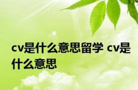 cv是什么意思留学 cv是什么意思 