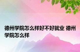 德州学院怎么样好不好就业 德州学院怎么样 