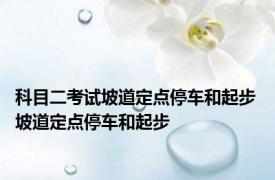 科目二考试坡道定点停车和起步 坡道定点停车和起步 