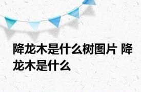 降龙木是什么树图片 降龙木是什么 