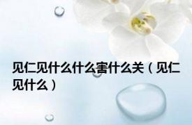 见仁见什么什么害什么关（见仁见什么）