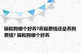 猫和狗哪个好养?养猫费钱还是养狗费钱? 猫和狗哪个好养 