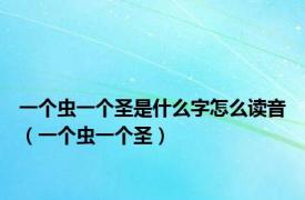 一个虫一个圣是什么字怎么读音（一个虫一个圣）