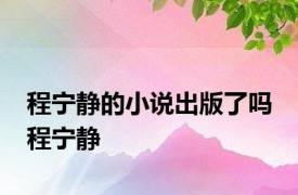 程宁静的小说出版了吗 程宁静 