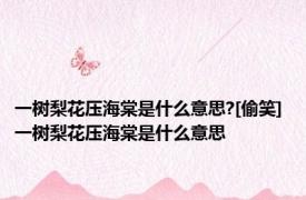 一树梨花压海棠是什么意思?[偷笑] 一树梨花压海棠是什么意思 