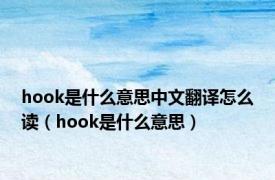 hook是什么意思中文翻译怎么读（hook是什么意思）