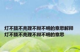 灯不拨不亮理不辩不明的意思解释 灯不拨不亮理不辩不明的意思 