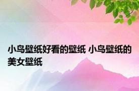 小鸟壁纸好看的壁纸 小鸟壁纸的美女壁纸 