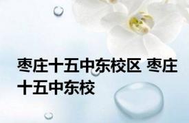 枣庄十五中东校区 枣庄十五中东校 