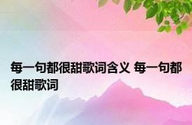 每一句都很甜歌词含义 每一句都很甜歌词 