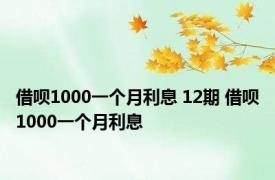 借呗1000一个月利息 12期 借呗1000一个月利息 