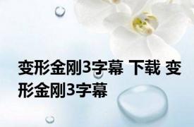 变形金刚3字幕 下载 变形金刚3字幕 