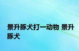 景升豚犬打一动物 景升豚犬 