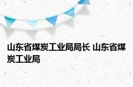 山东省煤炭工业局局长 山东省煤炭工业局 