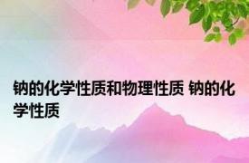 钠的化学性质和物理性质 钠的化学性质 