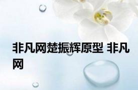 非凡网楚振辉原型 非凡网 