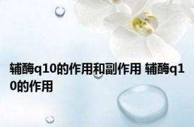 辅酶q10的作用和副作用 辅酶q10的作用 