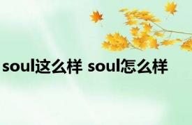 soul这么样 soul怎么样 