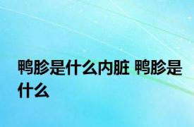 鸭胗是什么内脏 鸭胗是什么 