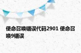 使命召唤错误代码2901 使命召唤9错误 