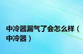 中冷器漏气了会怎么样（中冷器）