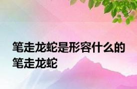 笔走龙蛇是形容什么的 笔走龙蛇 