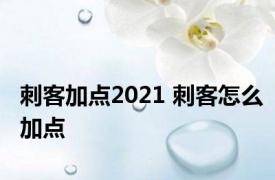 刺客加点2021 刺客怎么加点 