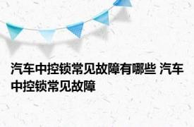 汽车中控锁常见故障有哪些 汽车中控锁常见故障 